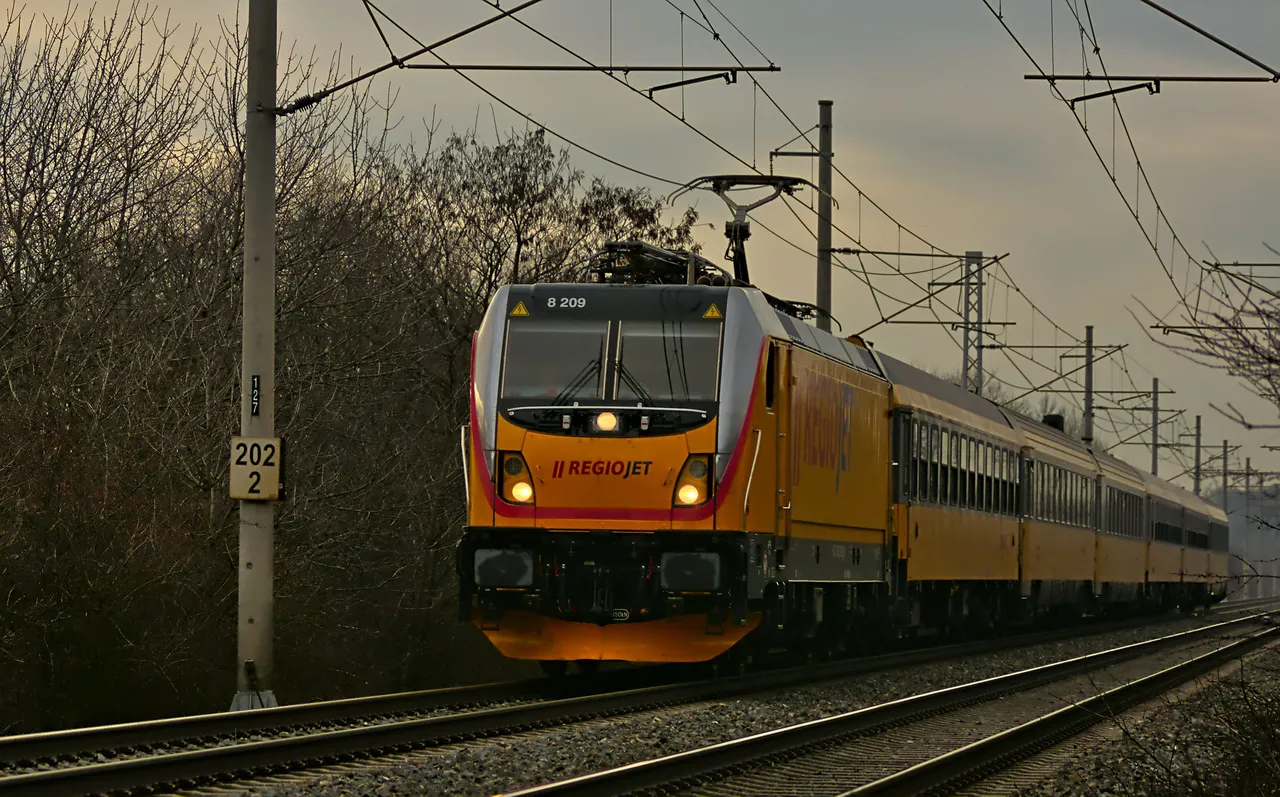 DSC_0023.jpg