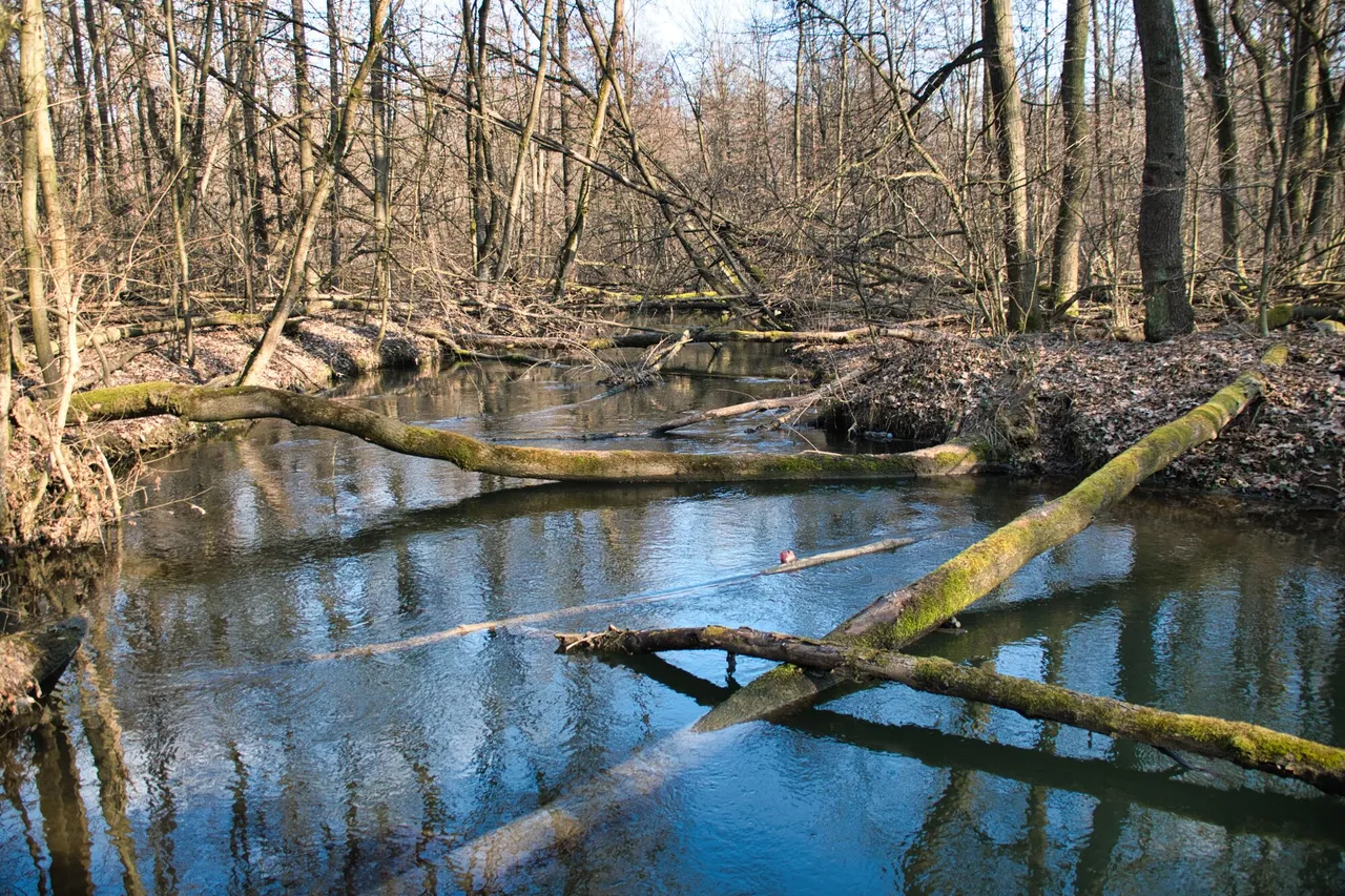 DSC_9609.jpg