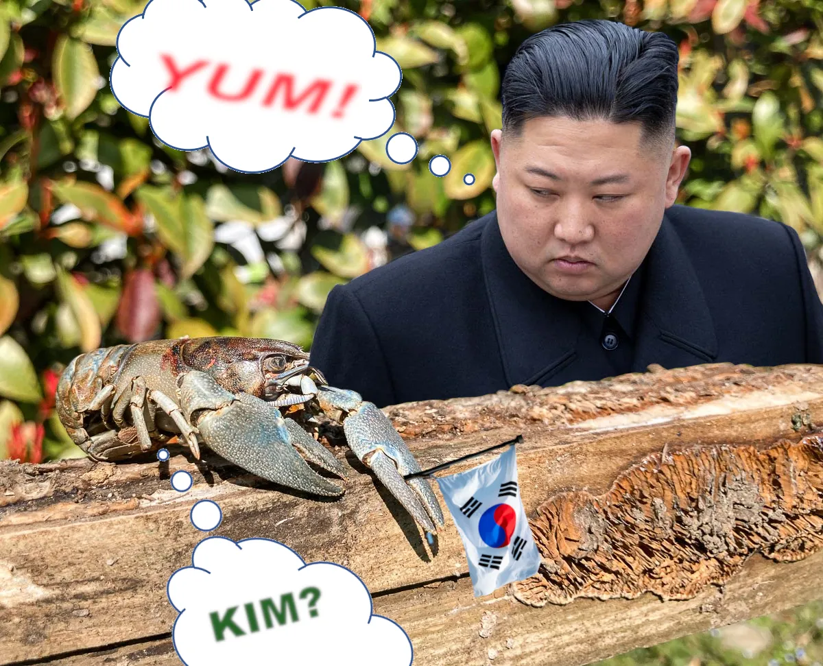 kim.png