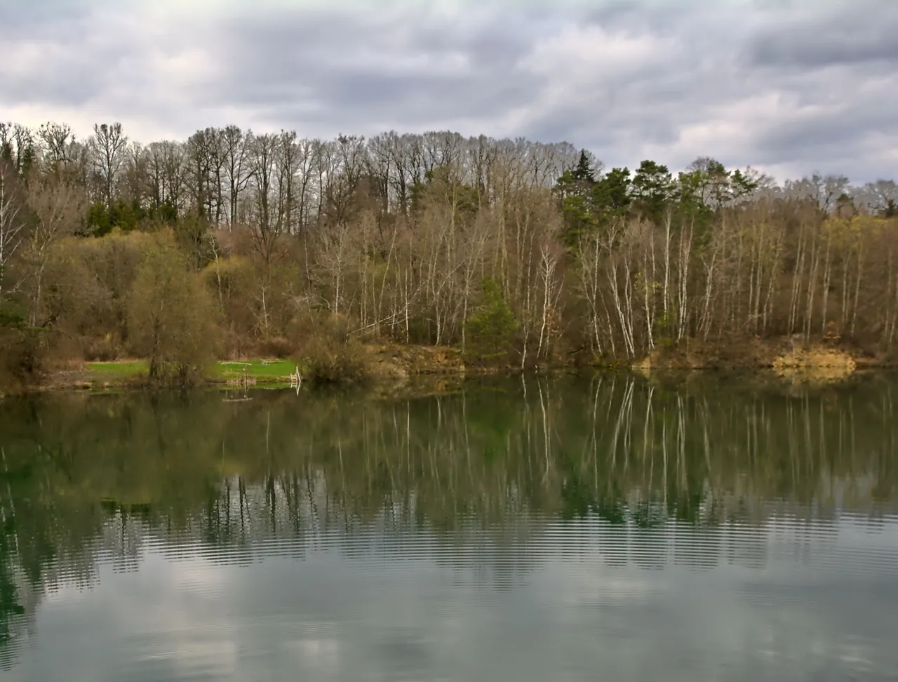 DSC_0041.jpg