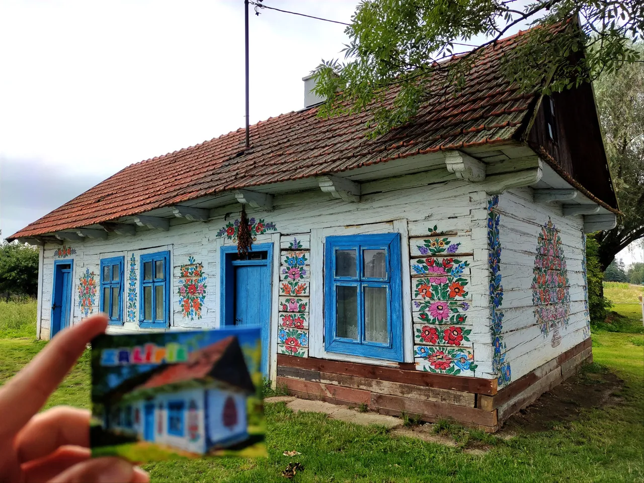 90.jpg