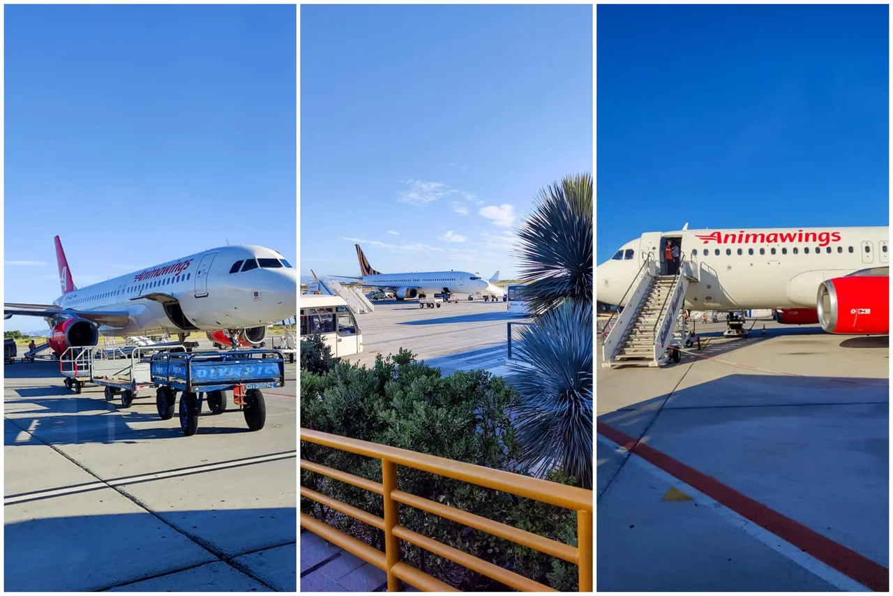 Flight 2.jpg