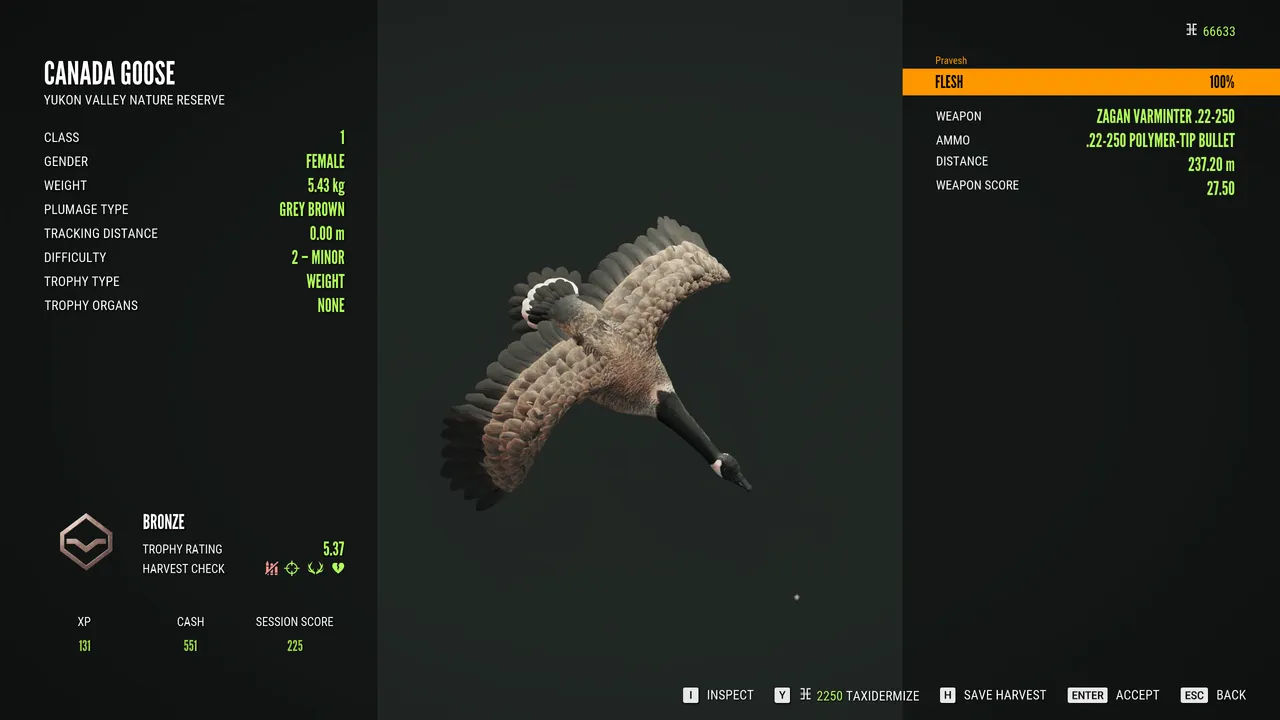 theHunter  Call of the Wild Screenshot 2025.03.08 - 02.24.08.60.png