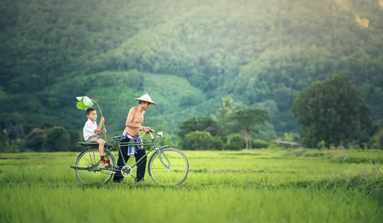 bicycle-1822640.jpg