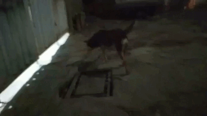 Sin título - Secuencia 01 3.gif