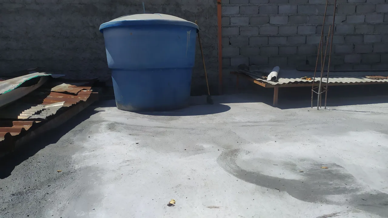 IMG_20220302_133551.jpg