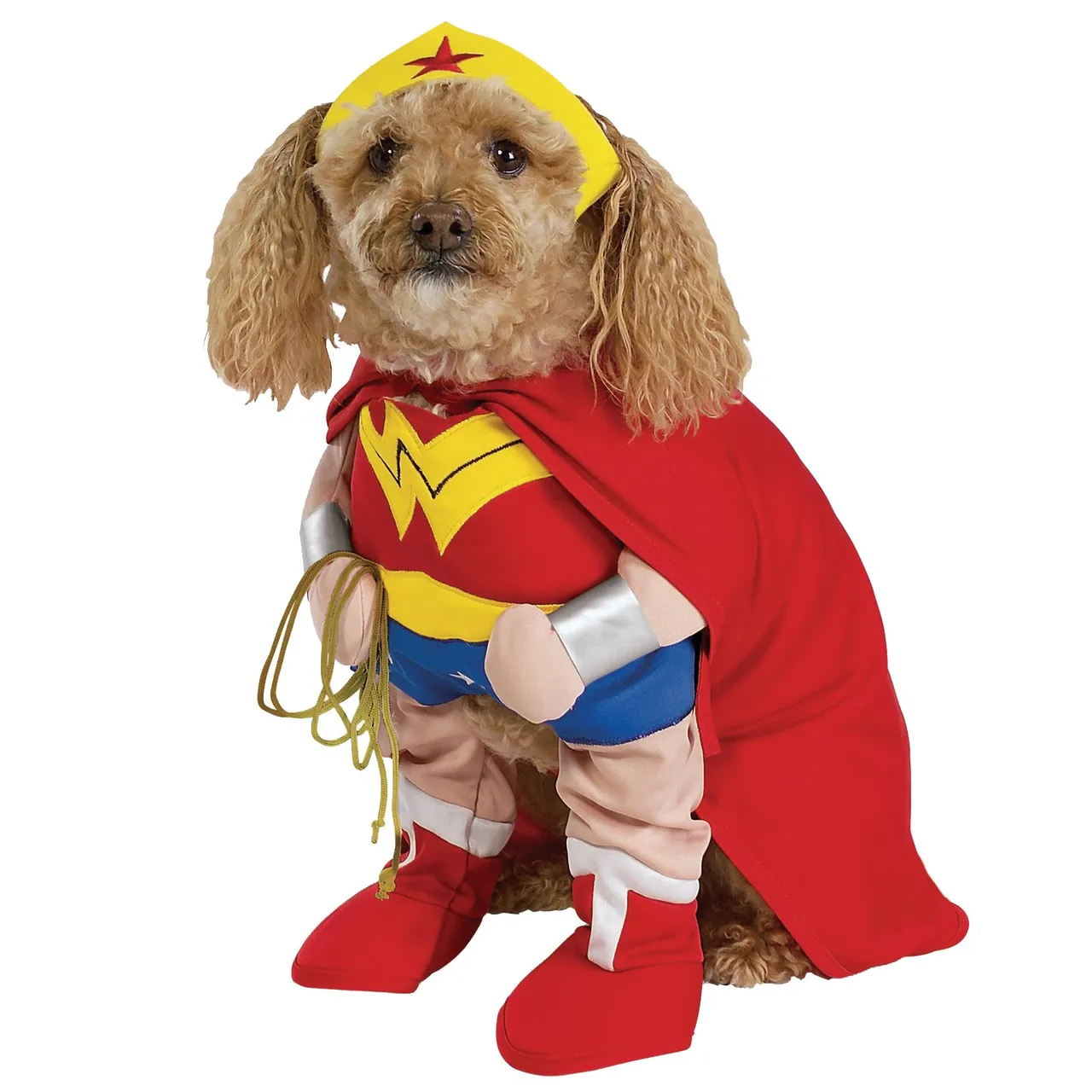 superhero_animals_halloween_pictures_1.jpg