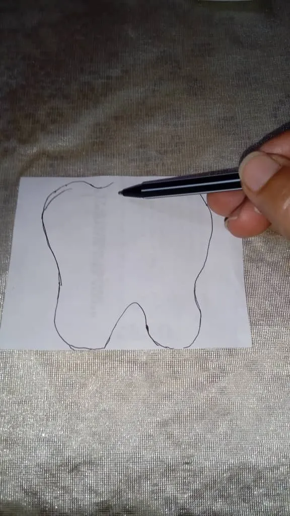 1000455632.jpg