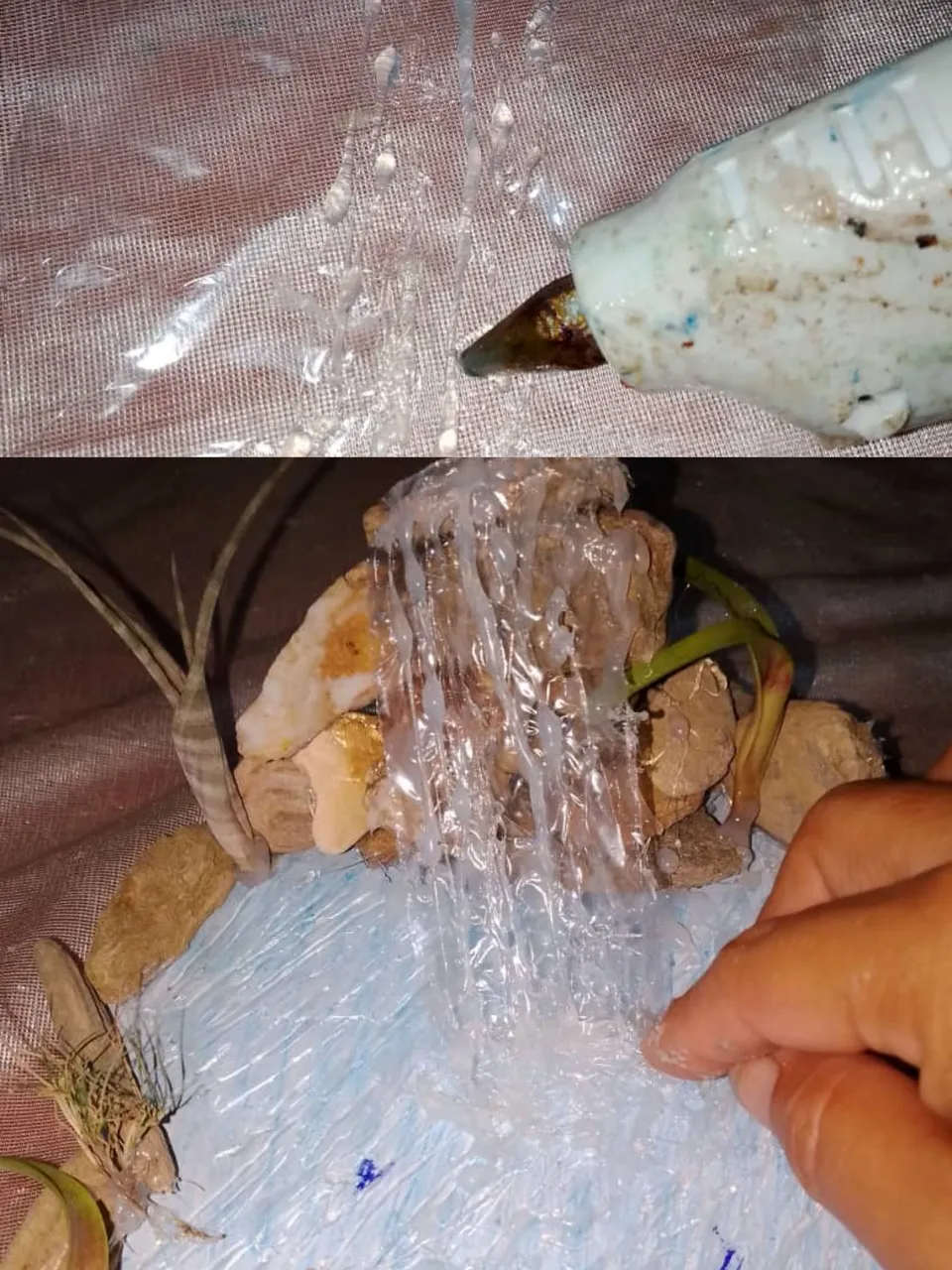 1000758118.jpg