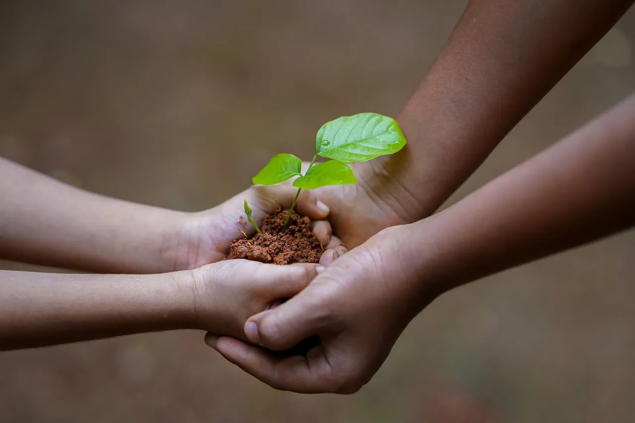 hands-g2d8244432_1920.jpg