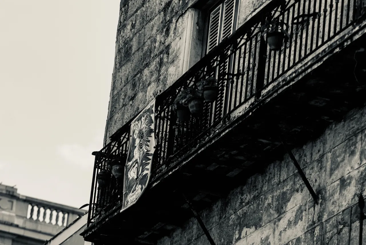 DSC_9305.jpeg