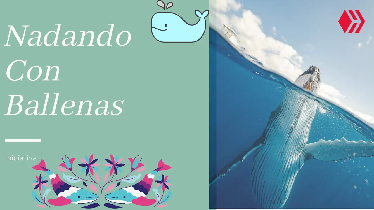 Nadando Con Ballenas.png