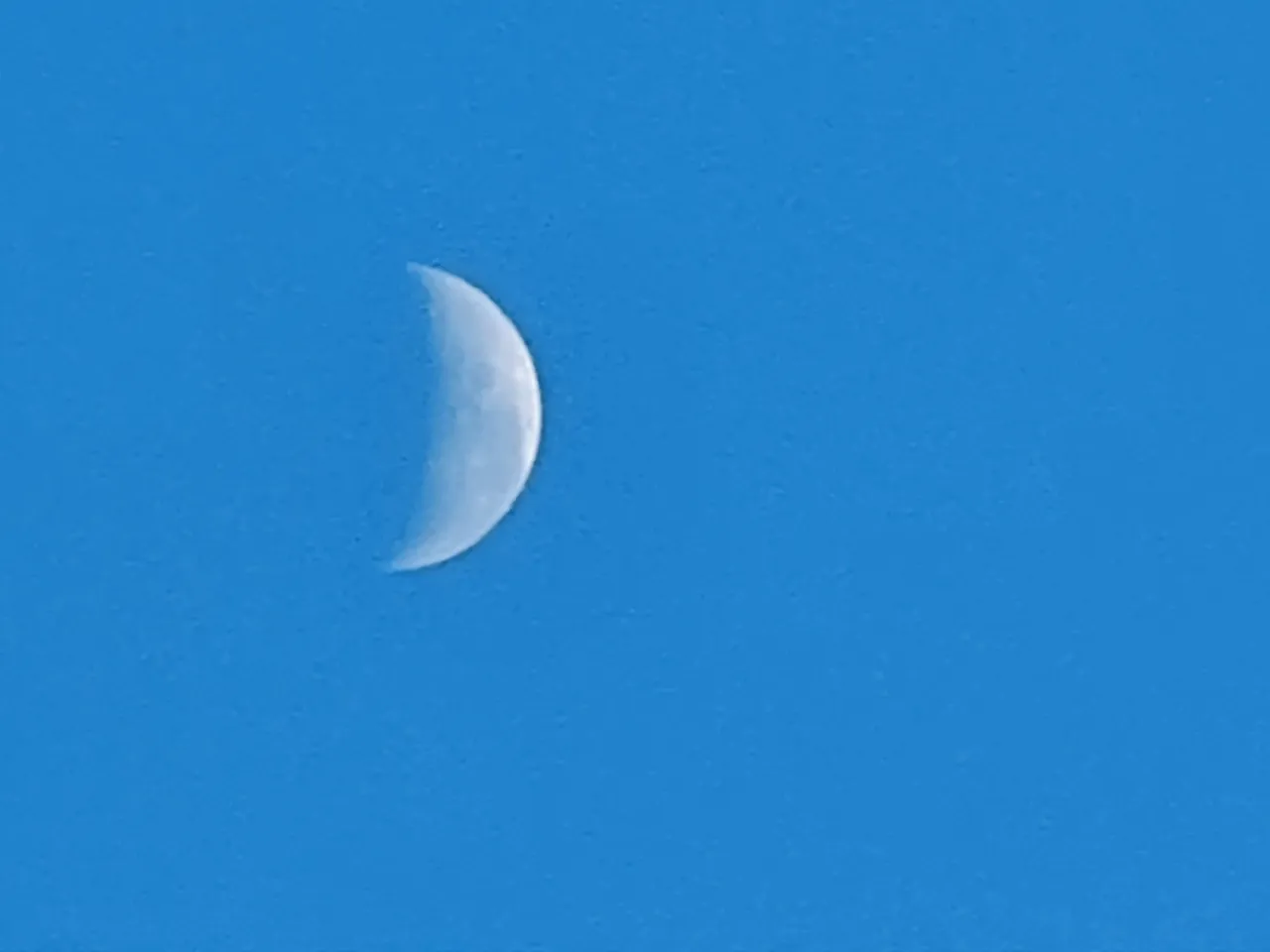 IMG20231107063048.jpg
