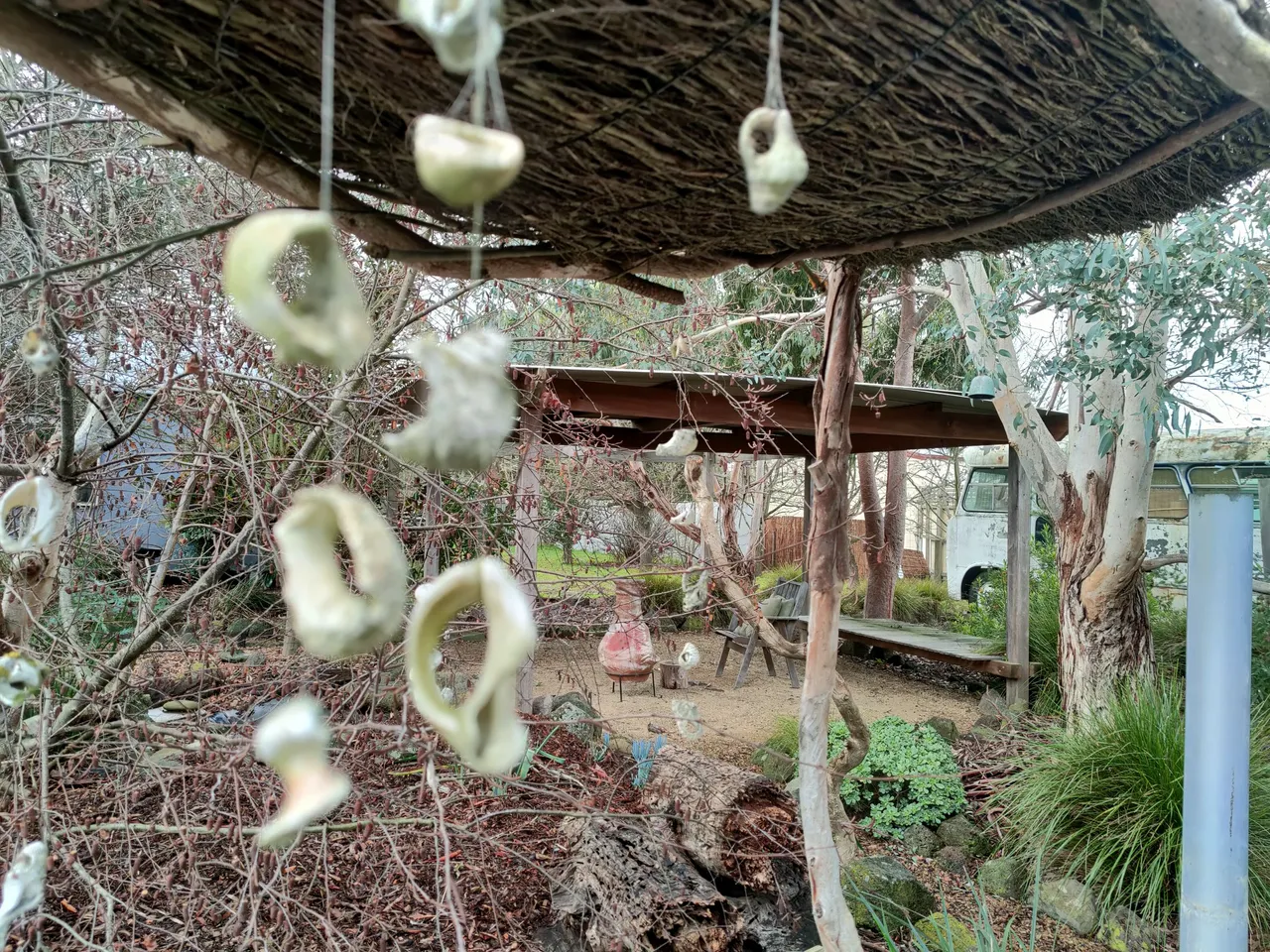 IMG20250711150136.jpg