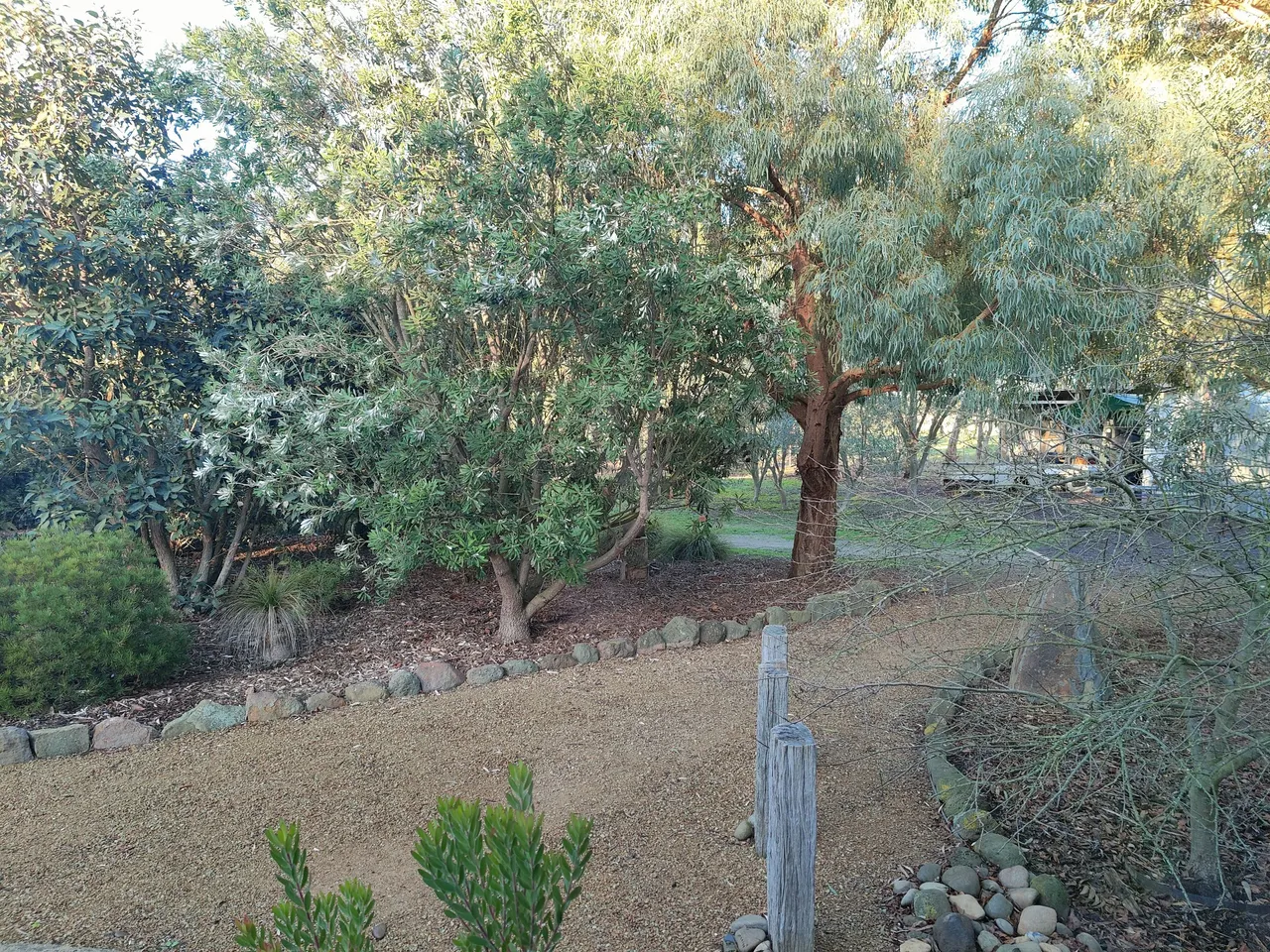 IMG20250805081535.jpg