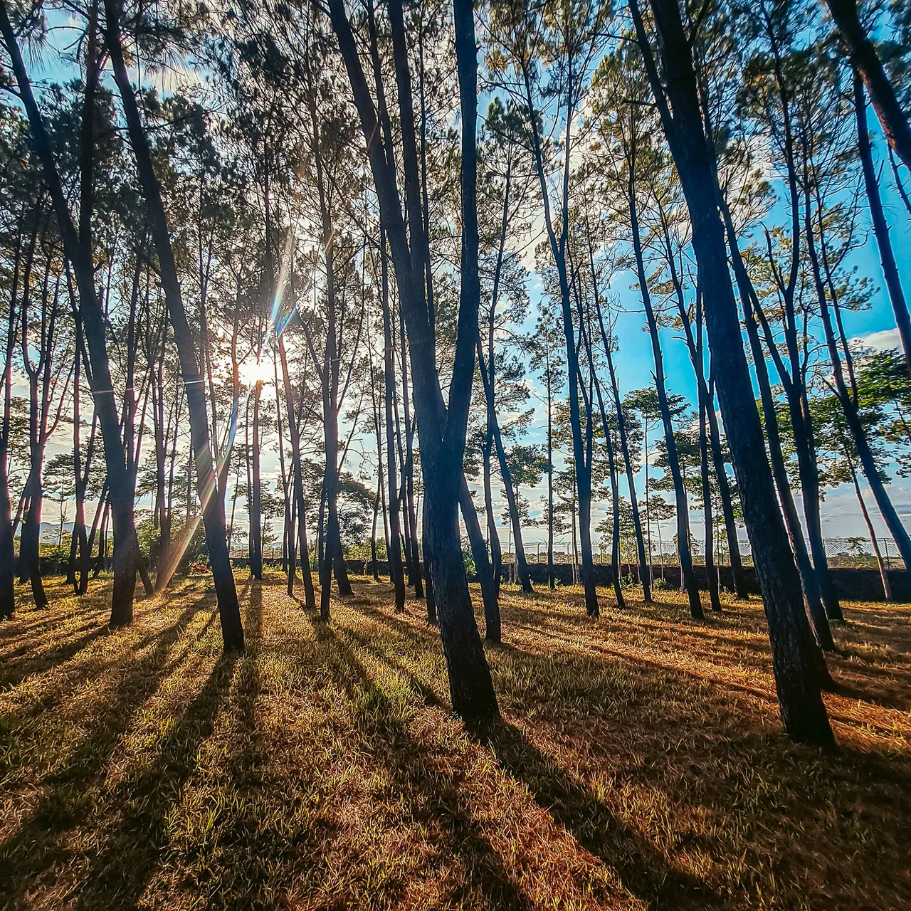 20230730_165300.jpg