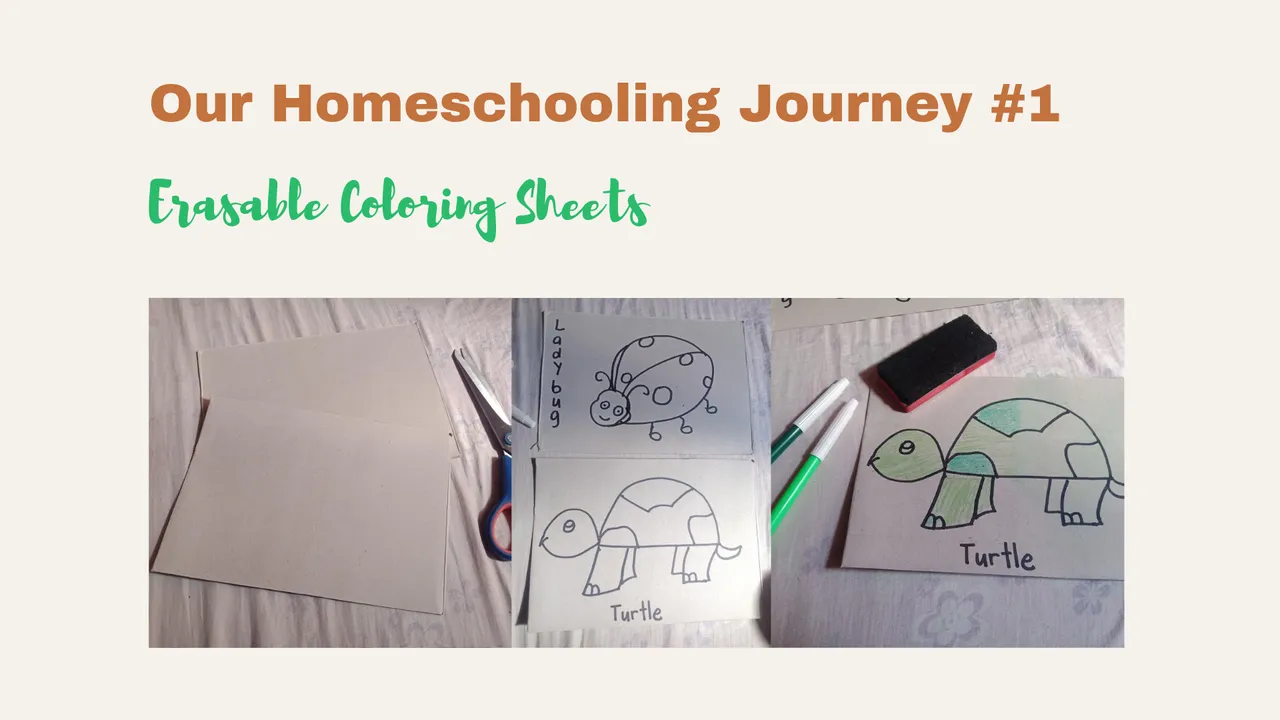 Our Homeschooling Journey #1 (1).png