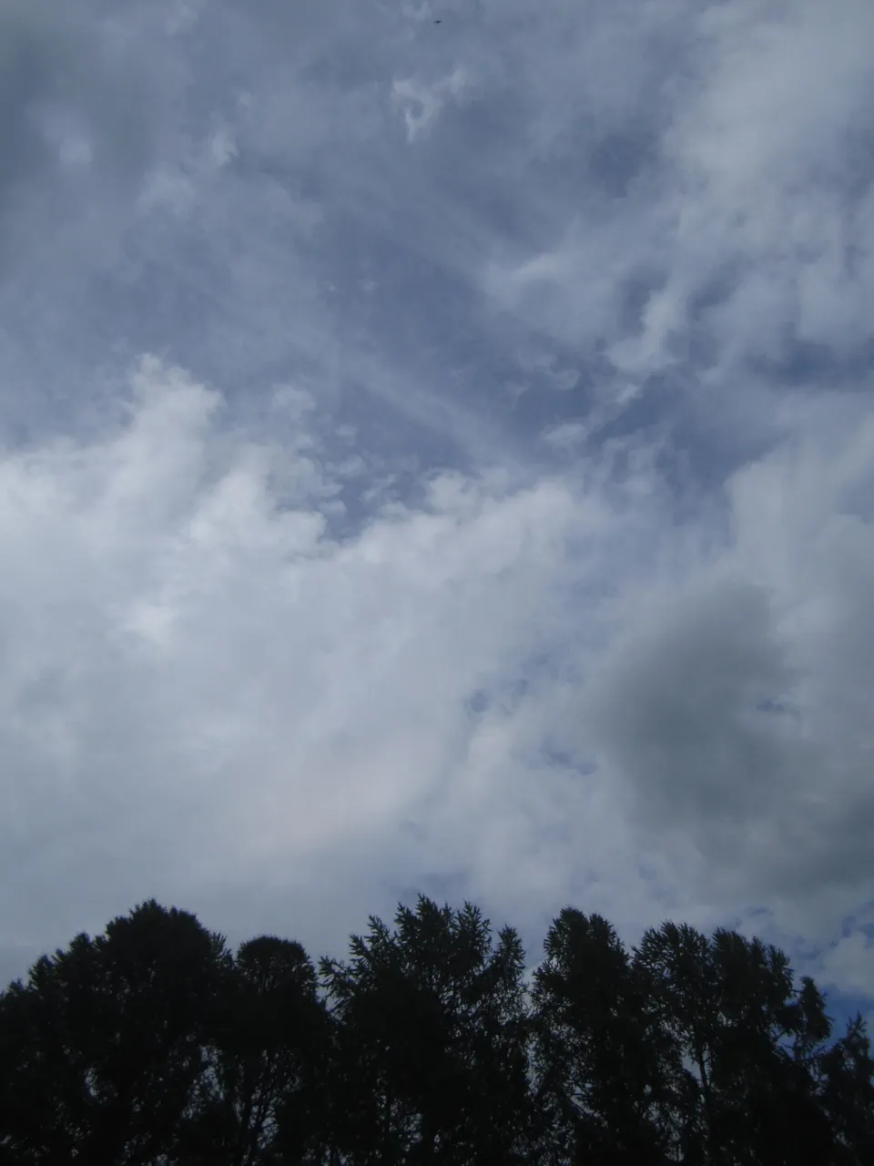 IMG_7000.JPG