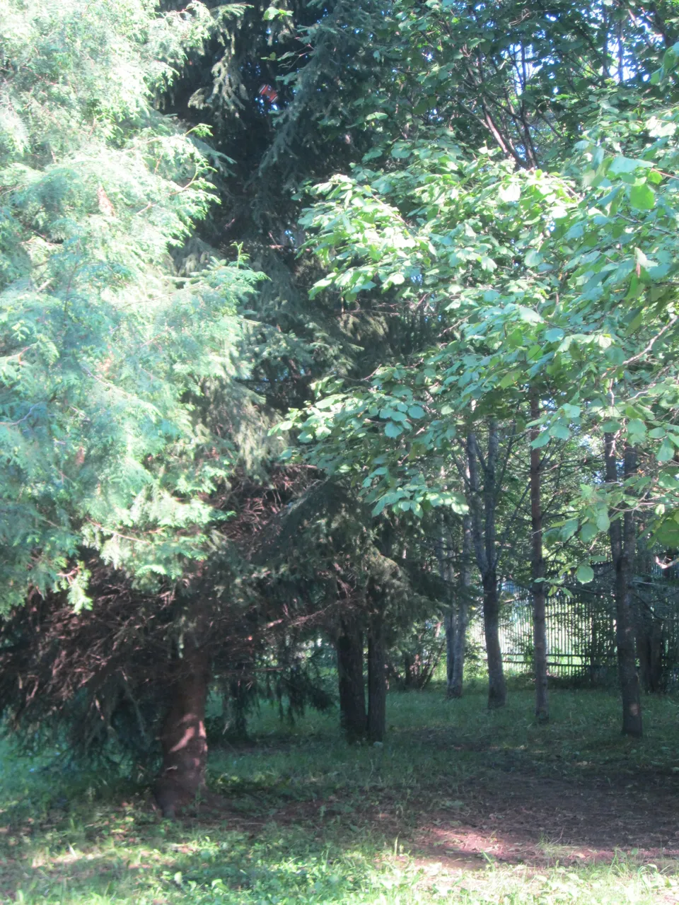 IMG_7591.JPG