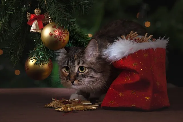 new-years-eve-1822984_640.jpg