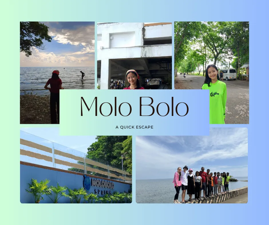White Collage Travel Blog Facebook Post.png