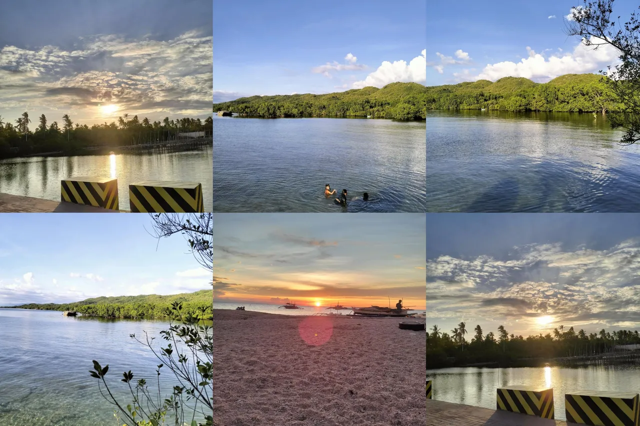 InCollage_20250227_110811045.jpg