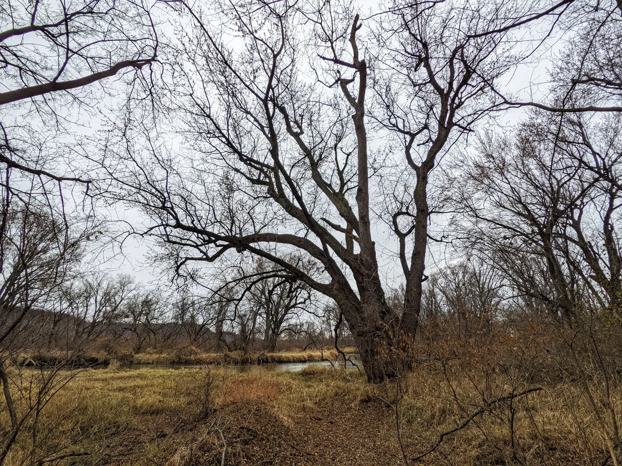 PXL_20211204_205435973_edited.jpeg