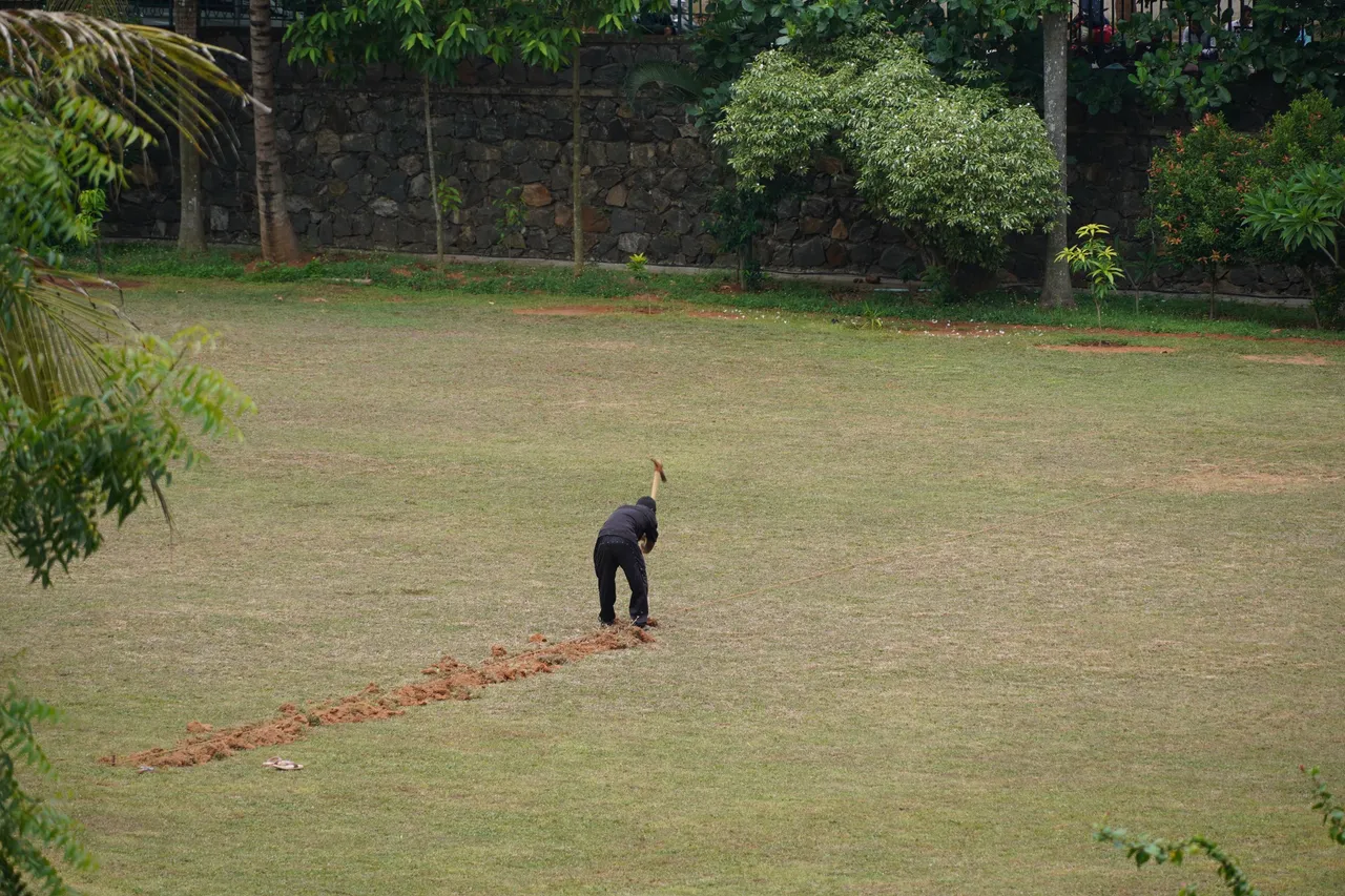 DSC08386.JPG