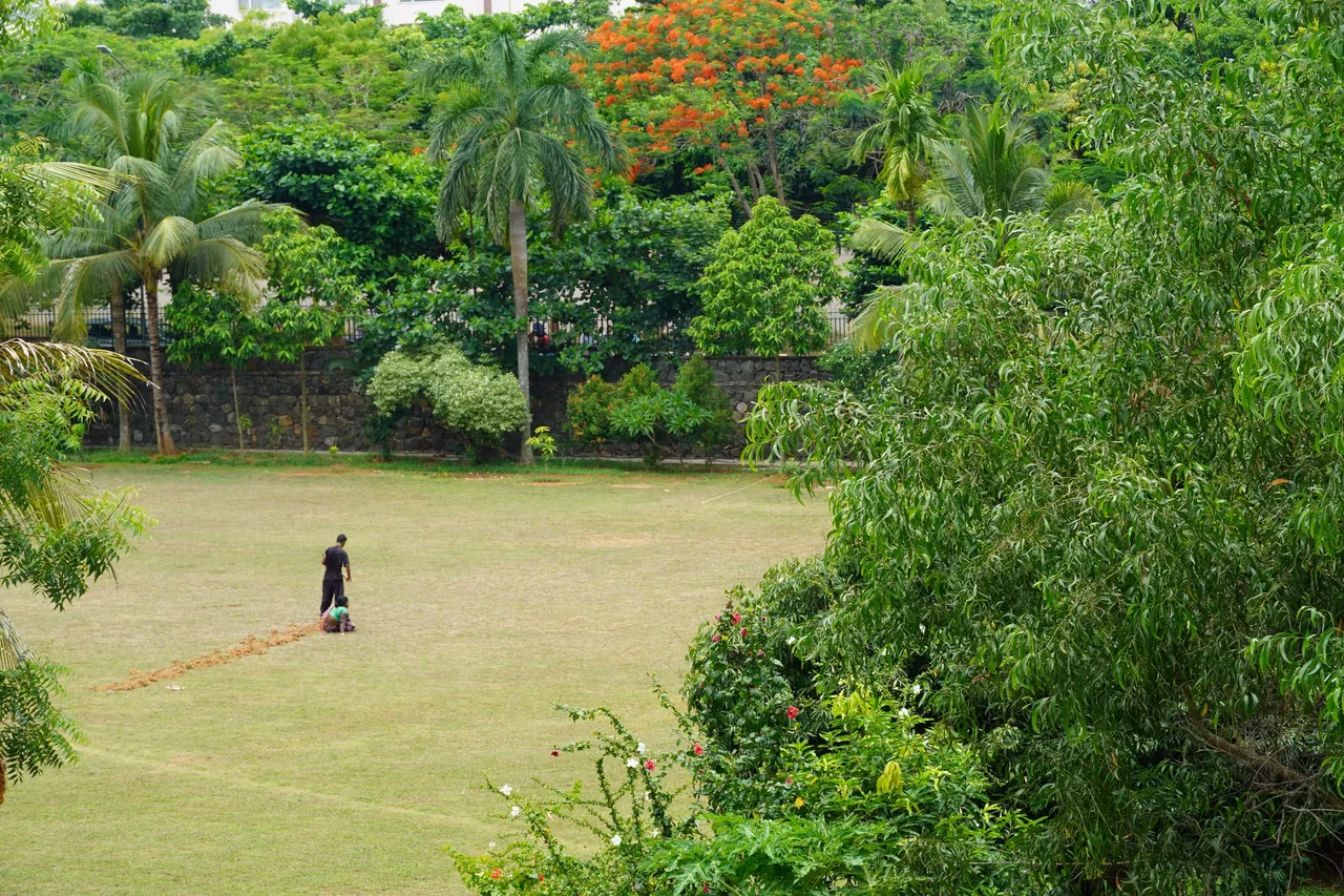 DSC08380.JPG