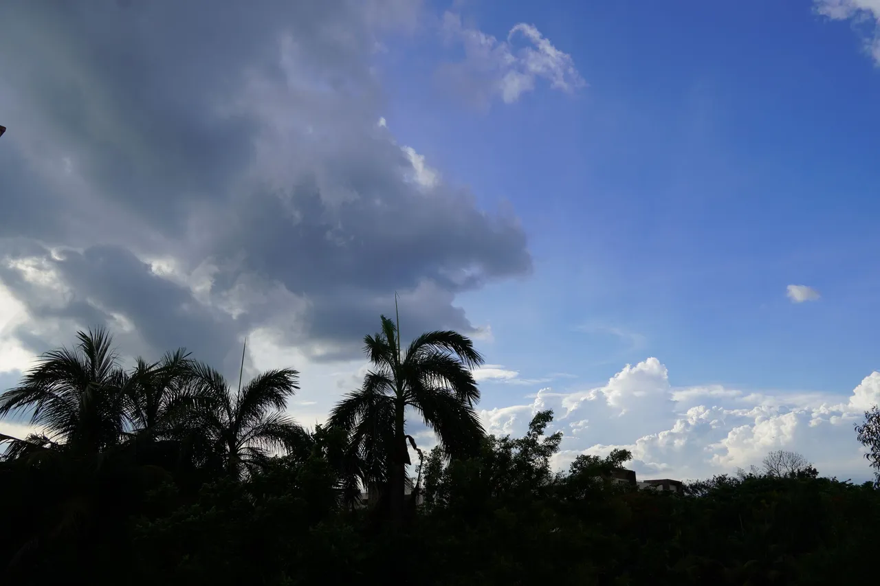 DSC08395.JPG