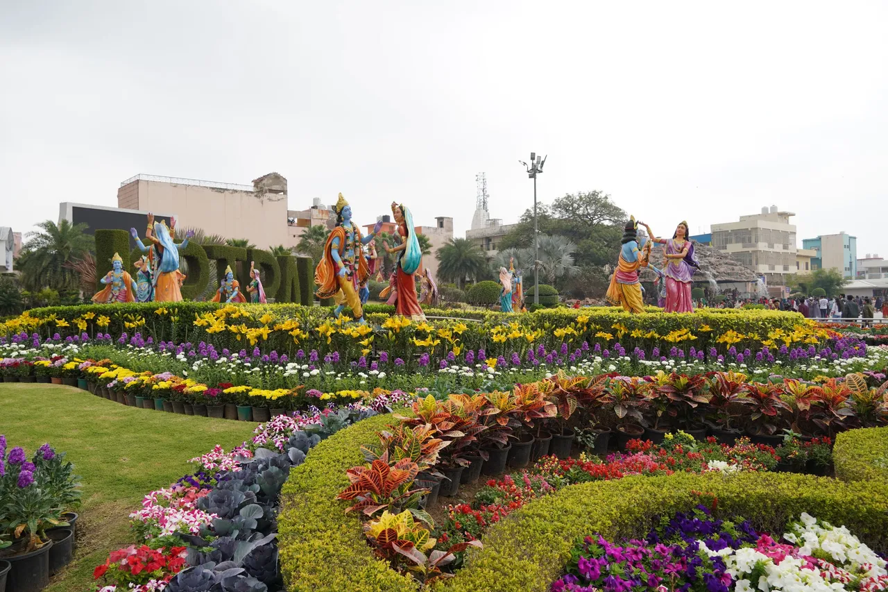 DSC07572.JPG