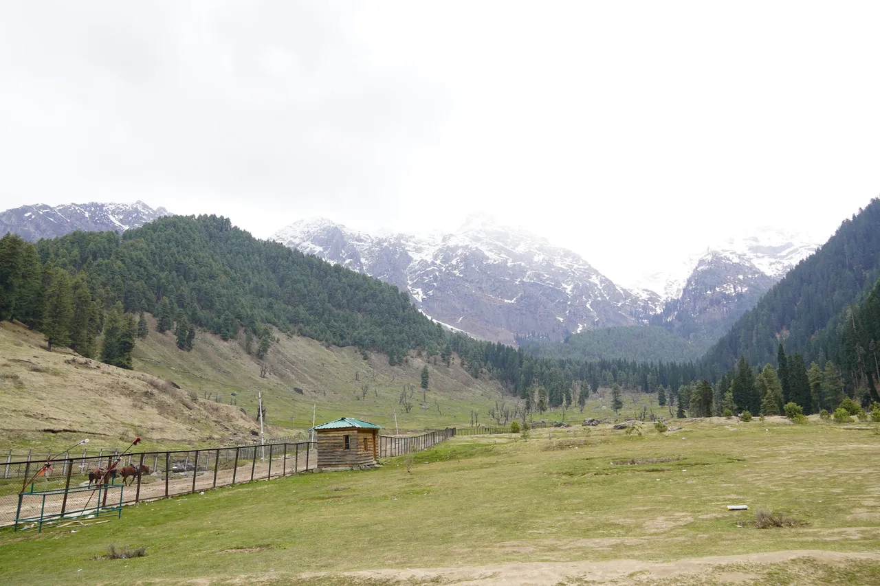 DSC00808.JPG