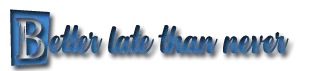 BetterthanNever.png