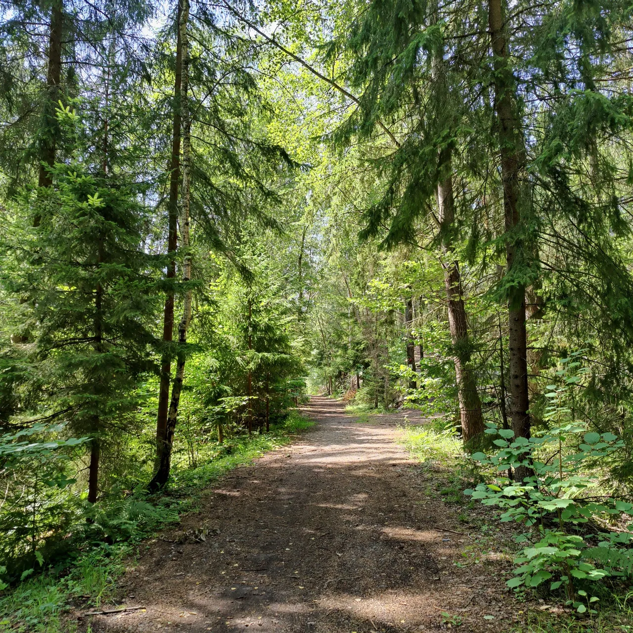 Photo taken by Shahzad Ansari through Oneplus 9 pro
