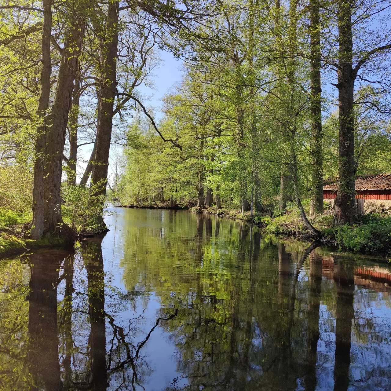Photo taken by Shahzad Ansari through Oneplus 9 Pro