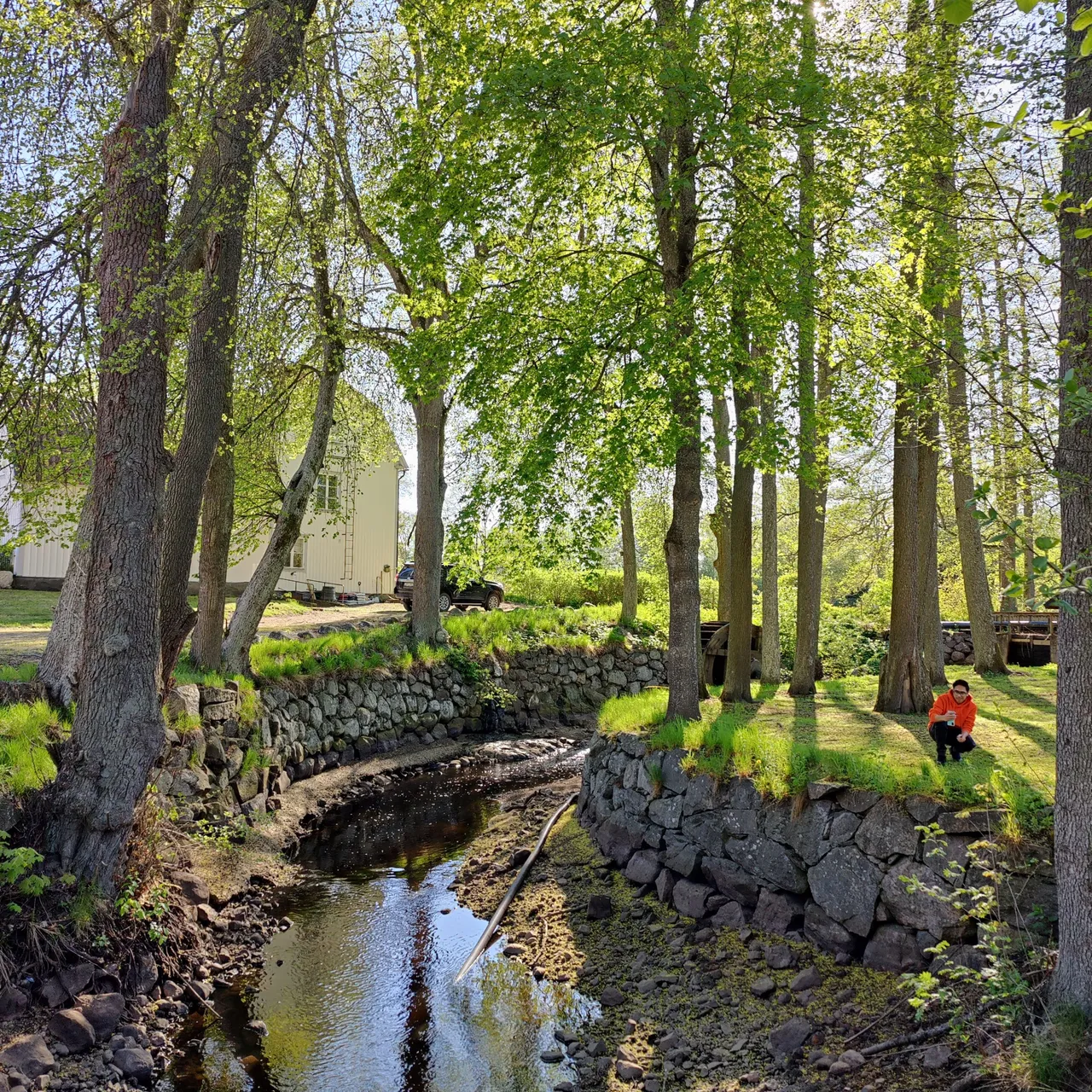 Photo taken by Shahzad Ansari through Oneplus 9 Pro