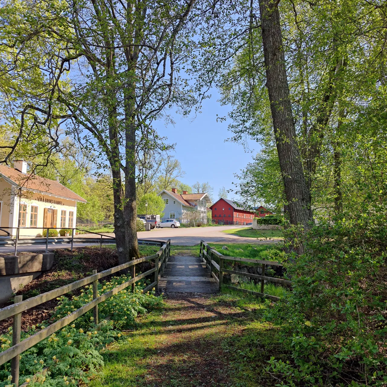 Photo taken by Shahzad Ansari through Oneplus 9 Pro