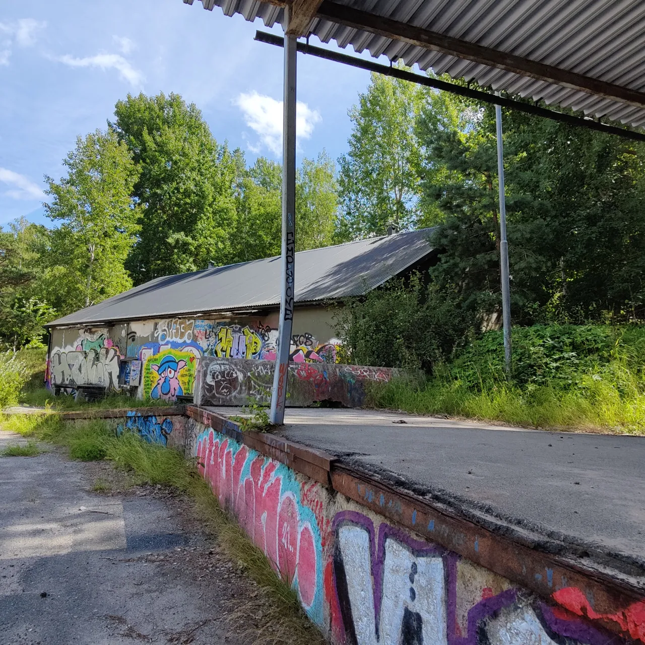 Photo taken by Shahzad Ansari through Oneplus 9 pro
