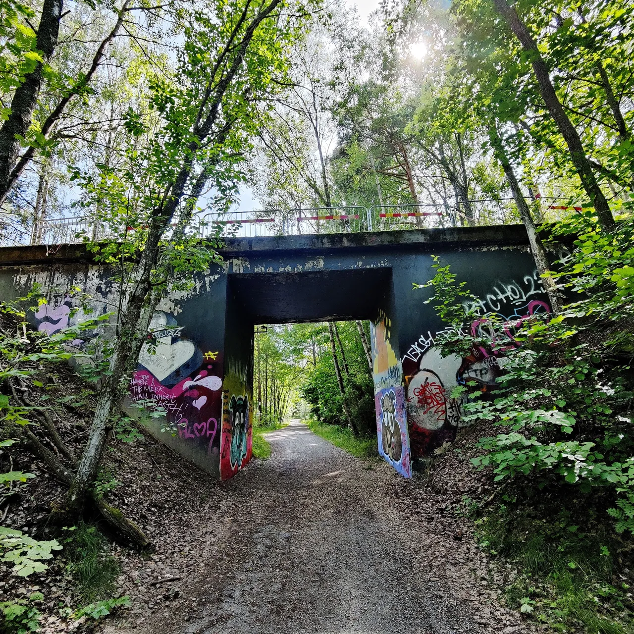 Photo taken by Shahzad Ansari through Oneplus 9 pro