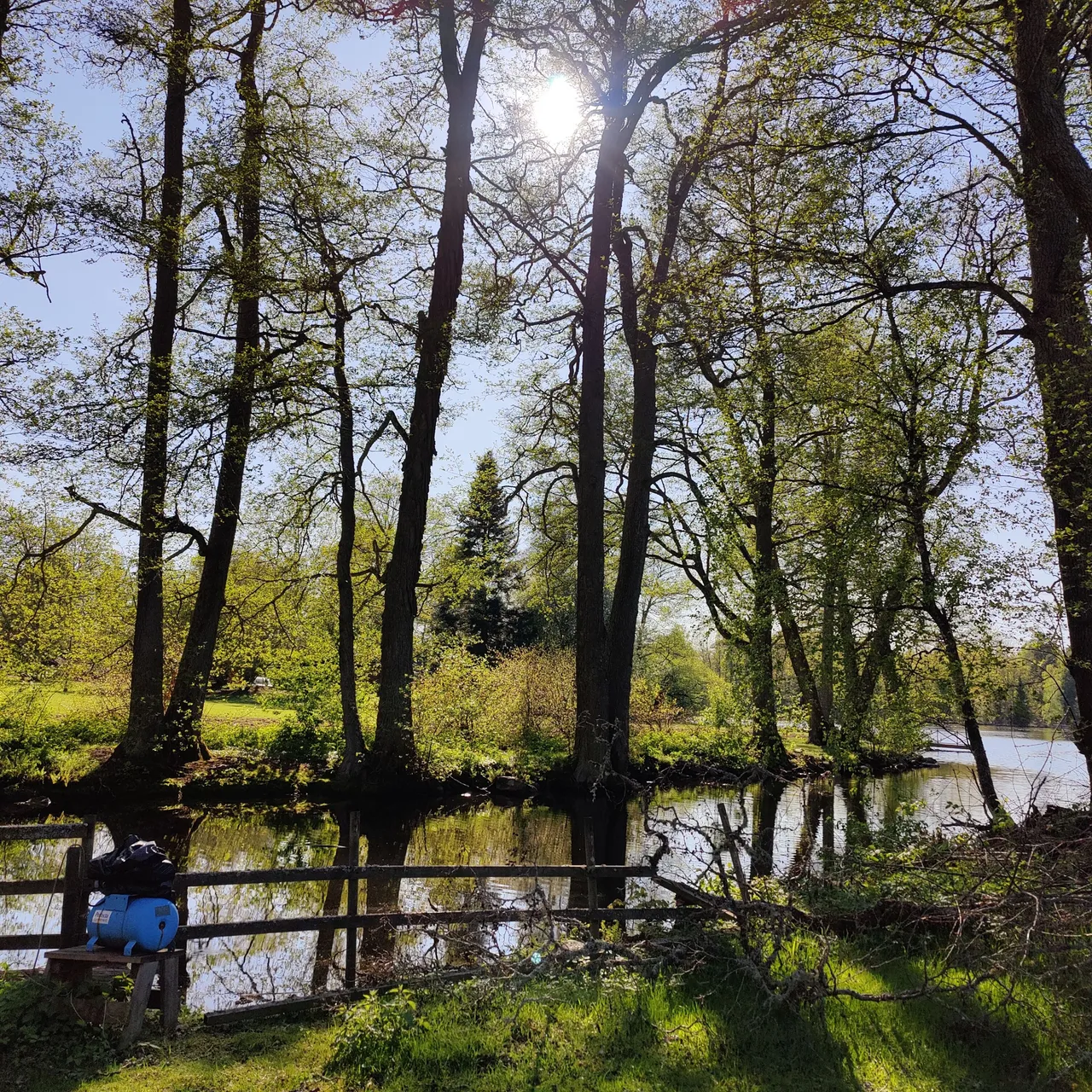 Photo taken by Shahzad Ansari through Oneplus 9 Pro