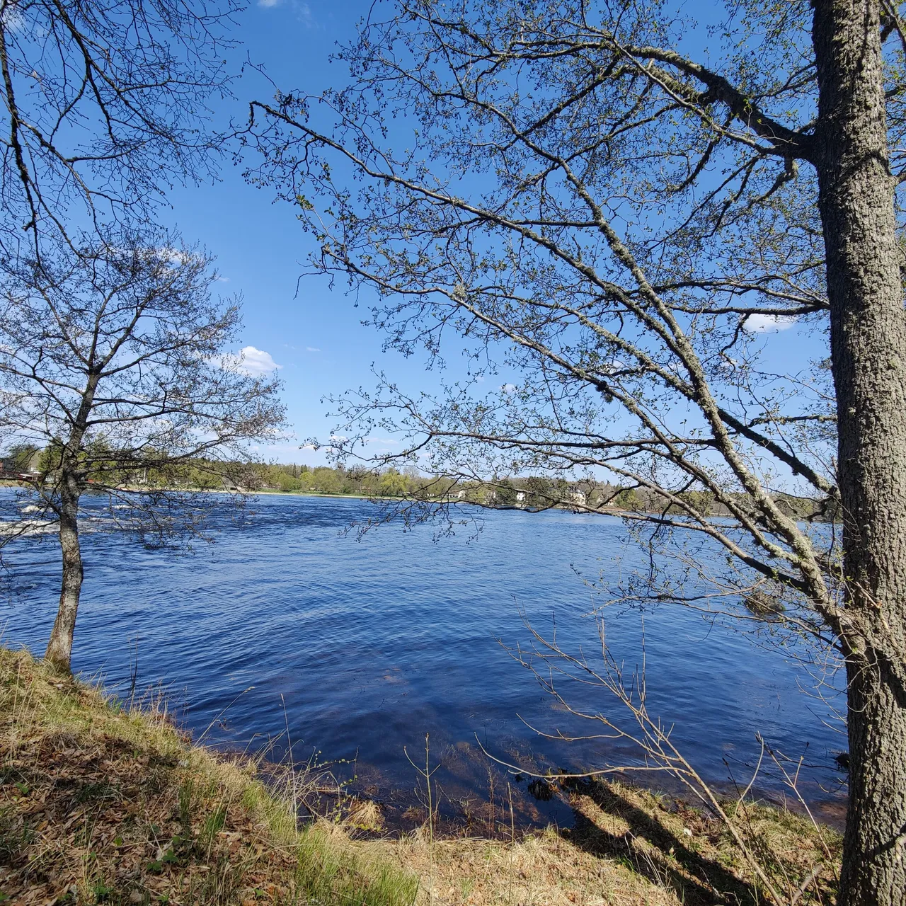Photo taken by Shahzad Ansari through Oneplus 9 pro at Gysinge Bruk