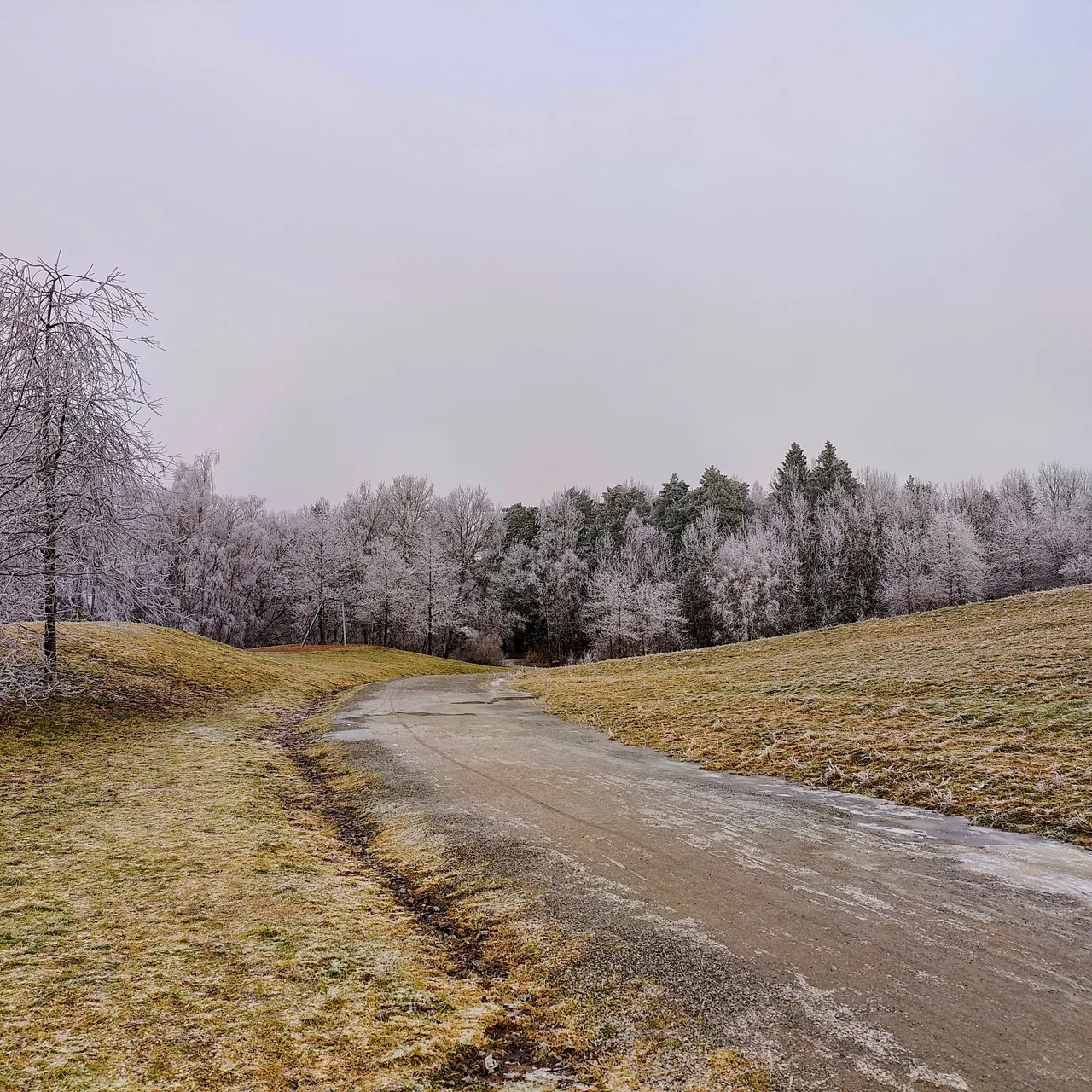 Photo taken by Shahzad Ansari through Oneplus 9 Pro
