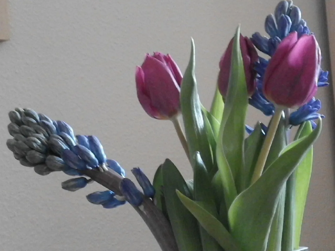 IMG_2021.jpeg