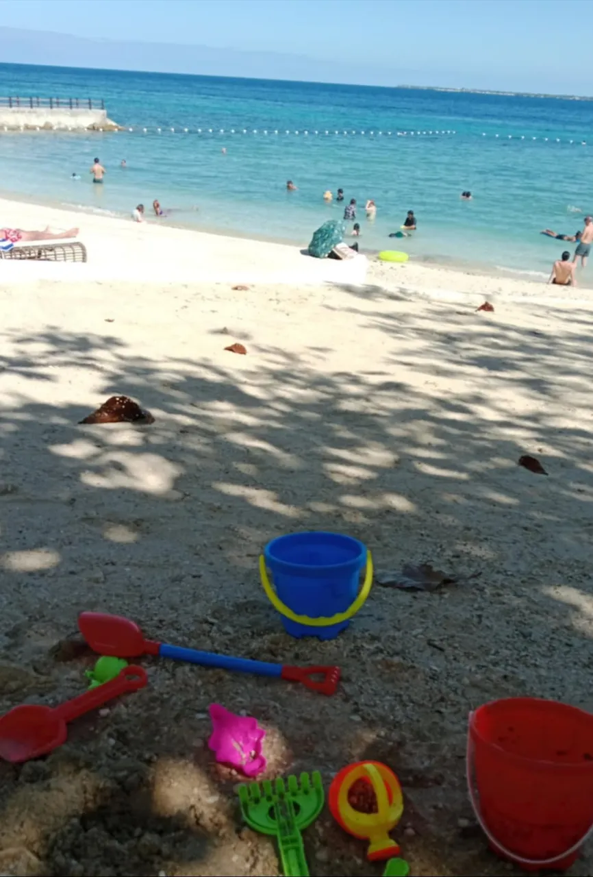 IMG_20250125_202844.jpg