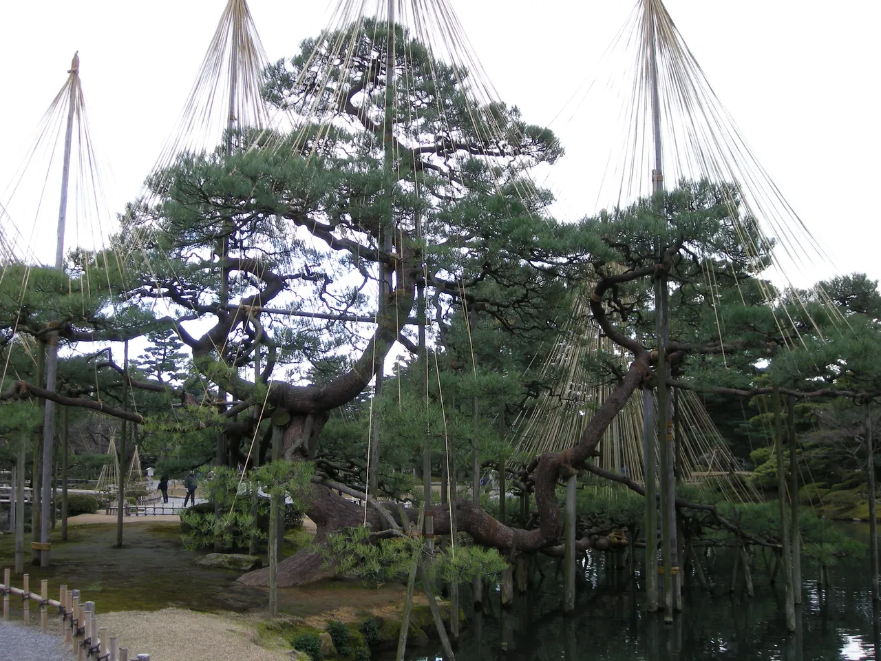 134-Kenrouku-en Snow Protection.JPG