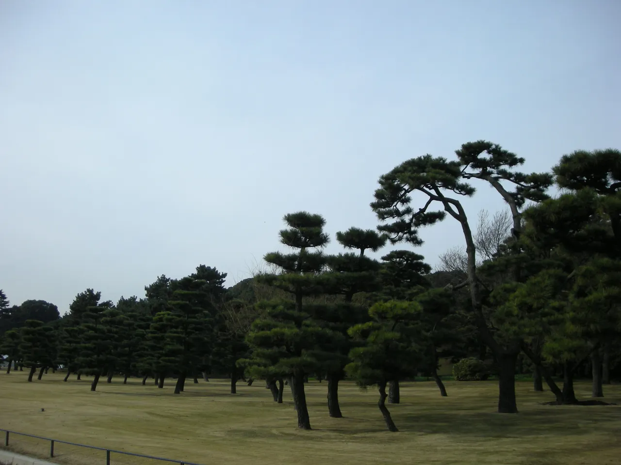 221-Imperial Palace gardens.JPG