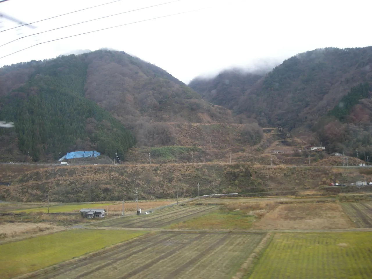 113-Farming in Japan.JPG