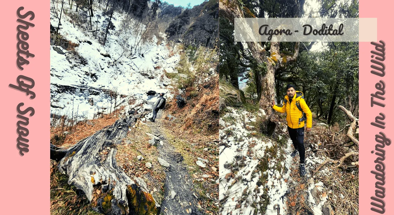 The Trek Start (3) (1).png