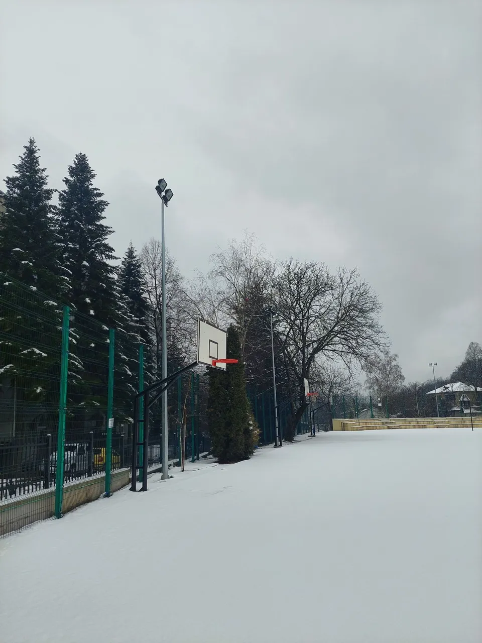 20220202_131120.jpg