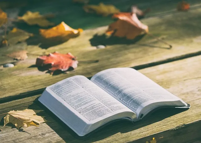 bible-ge49b63ac1_640.jpg